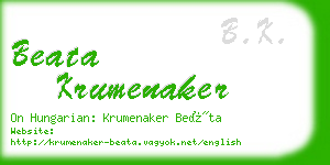 beata krumenaker business card
